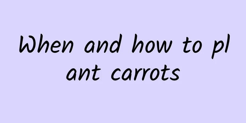 When and how to plant carrots