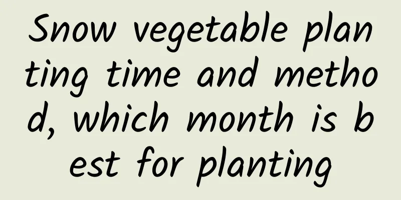 Snow vegetable planting time and method, which month is best for planting