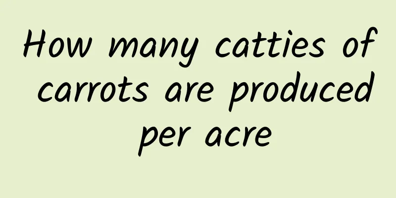 How many catties of carrots are produced per acre