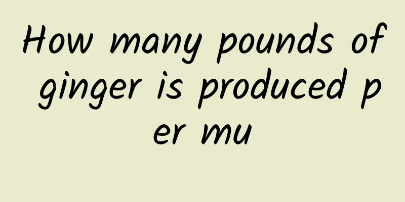 How many pounds of ginger is produced per mu
