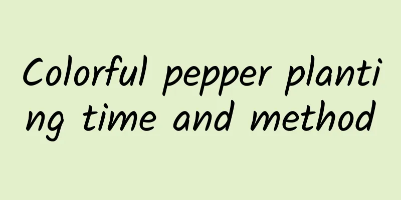 Colorful pepper planting time and method