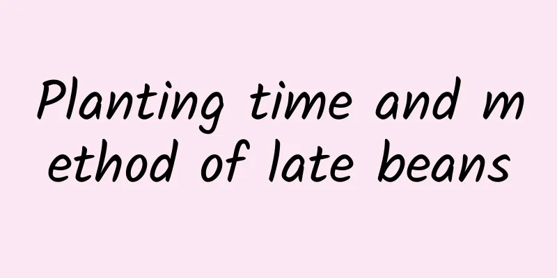 Planting time and method of late beans