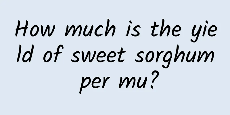 How much is the yield of sweet sorghum per mu?