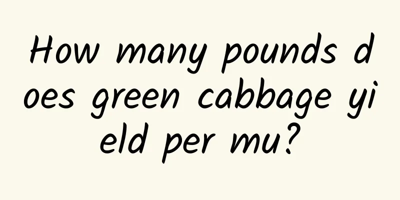 How many pounds does green cabbage yield per mu?