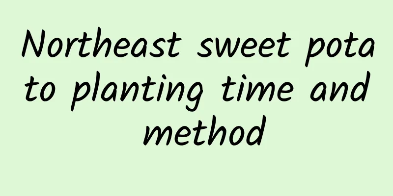 Northeast sweet potato planting time and method