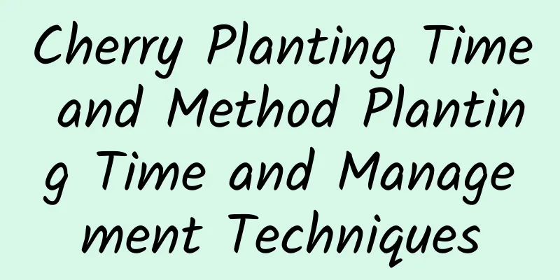 Cherry Planting Time and Method Planting Time and Management Techniques