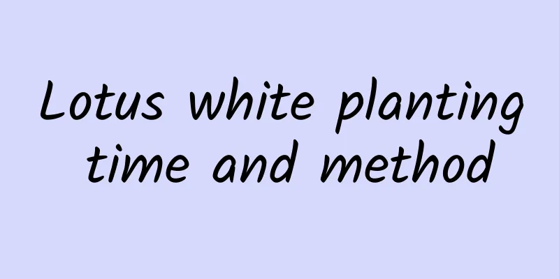 Lotus white planting time and method
