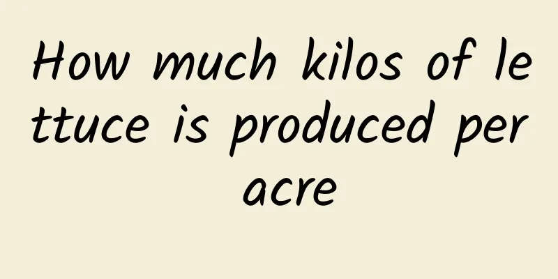 How much kilos of lettuce is produced per acre