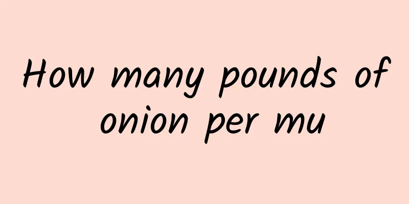 How many pounds of onion per mu