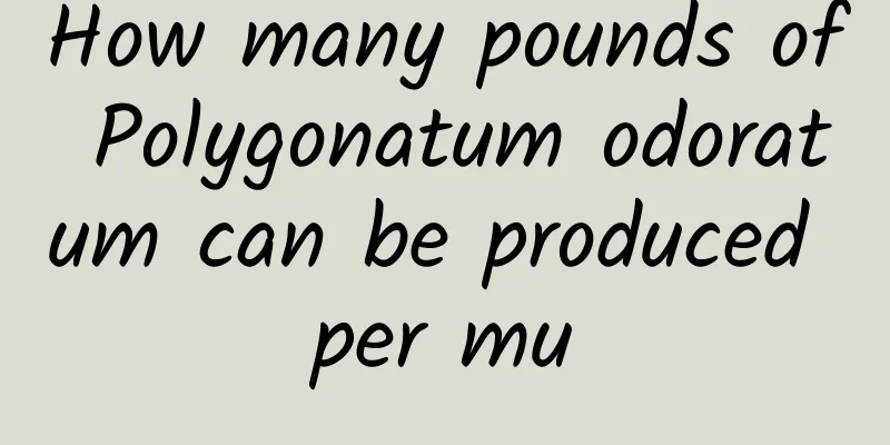 How many pounds of Polygonatum odoratum can be produced per mu