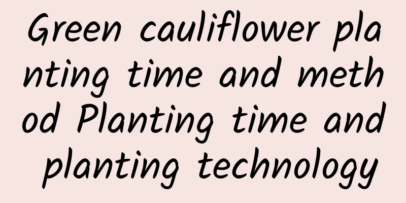 Green cauliflower planting time and method Planting time and planting technology