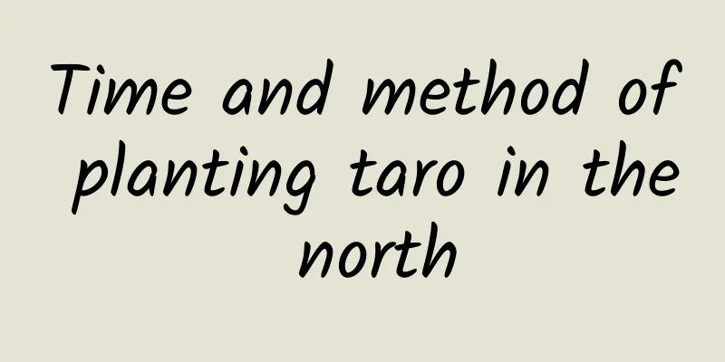 Time and method of planting taro in the north