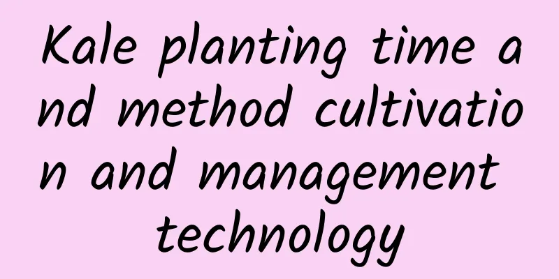 Kale planting time and method cultivation and management technology
