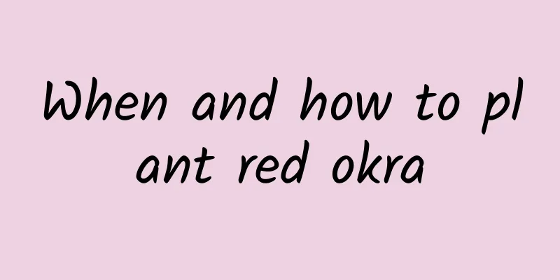 When and how to plant red okra