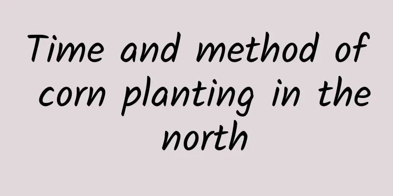 Time and method of corn planting in the north