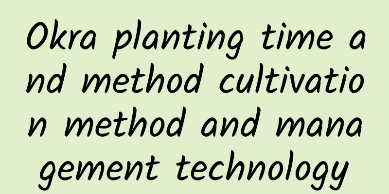 Okra planting time and method cultivation method and management technology