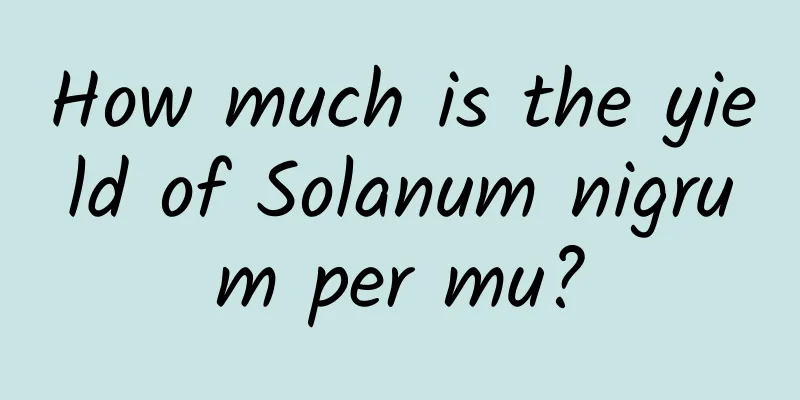 How much is the yield of Solanum nigrum per mu?