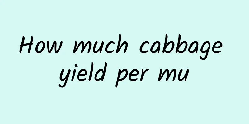 How much cabbage yield per mu