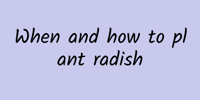 When and how to plant radish