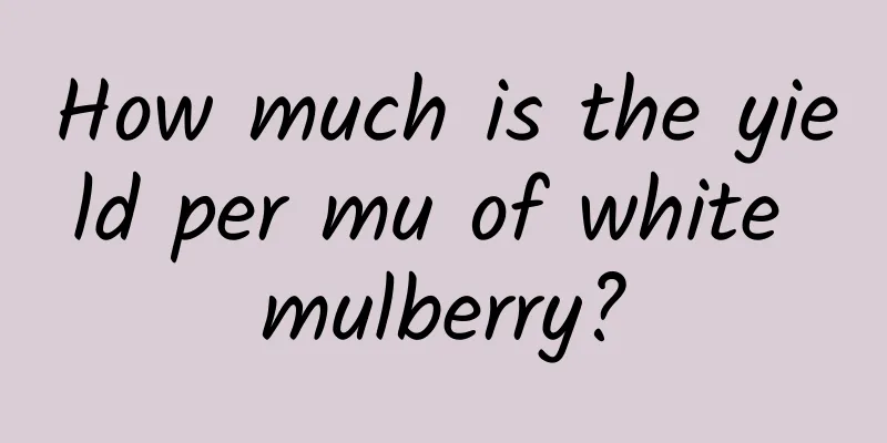 How much is the yield per mu of white mulberry?
