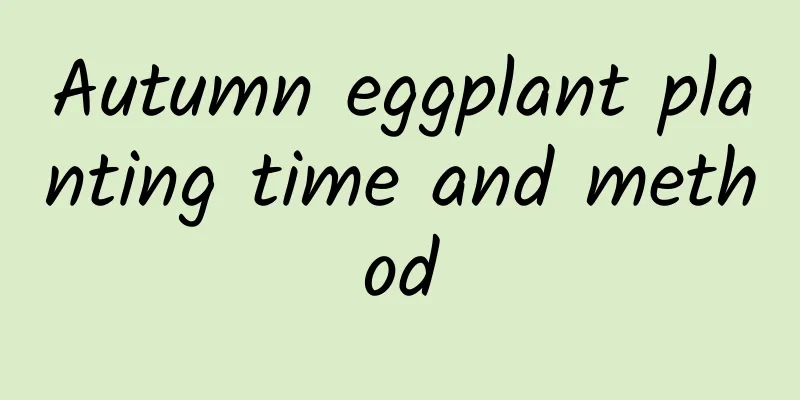 Autumn eggplant planting time and method