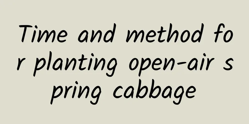 Time and method for planting open-air spring cabbage