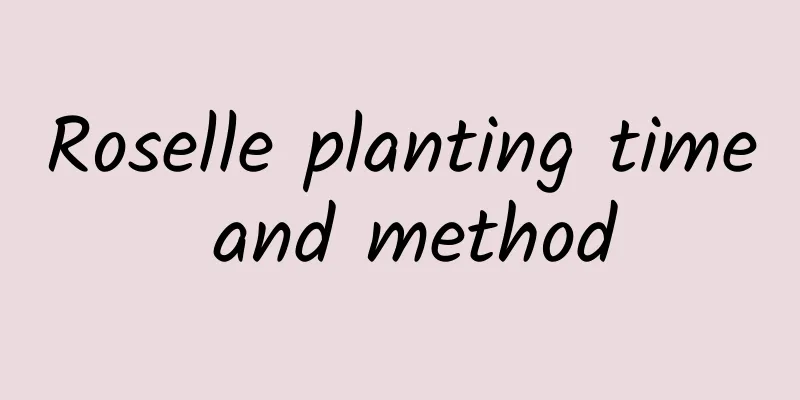 Roselle planting time and method