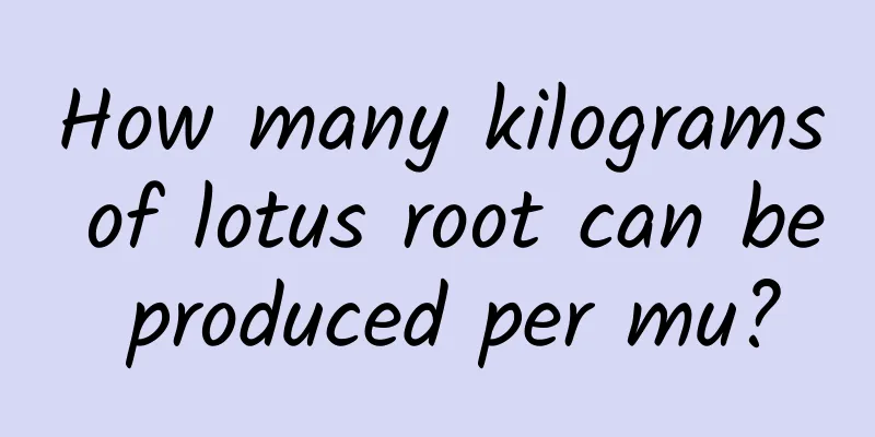 How many kilograms of lotus root can be produced per mu?