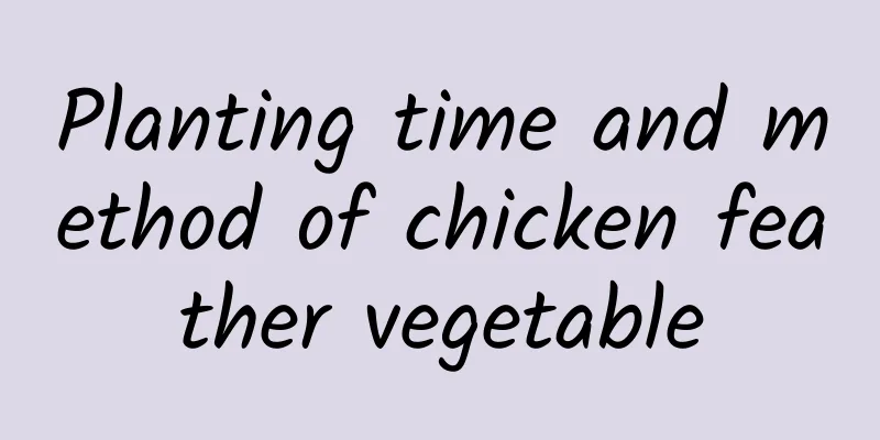 Planting time and method of chicken feather vegetable
