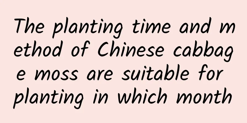 The planting time and method of Chinese cabbage moss are suitable for planting in which month