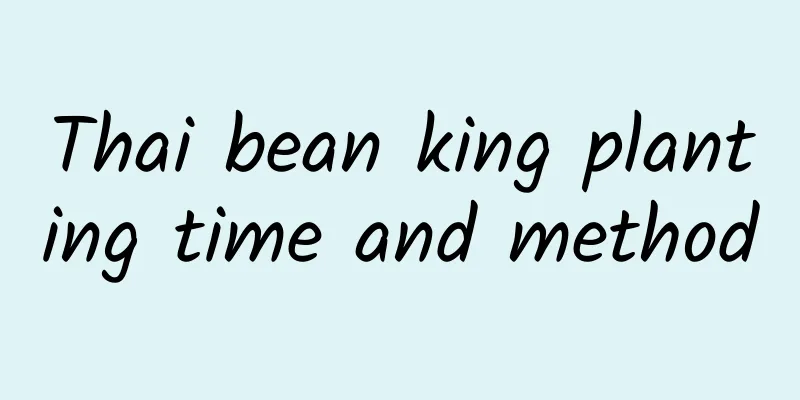 Thai bean king planting time and method