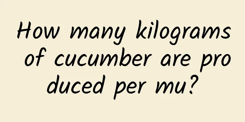 How many kilograms of cucumber are produced per mu?