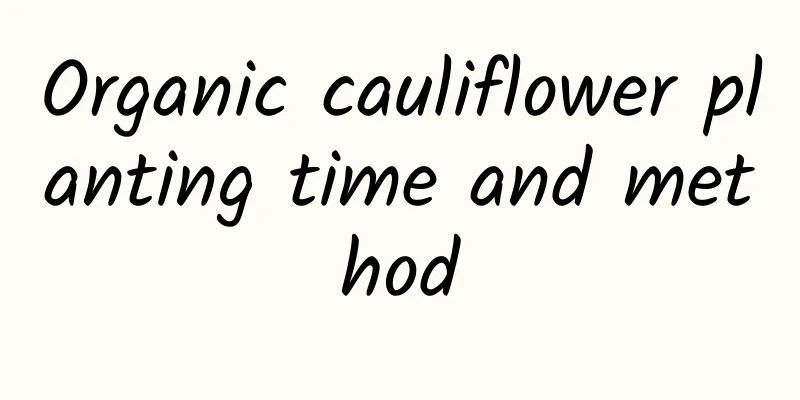 Organic cauliflower planting time and method