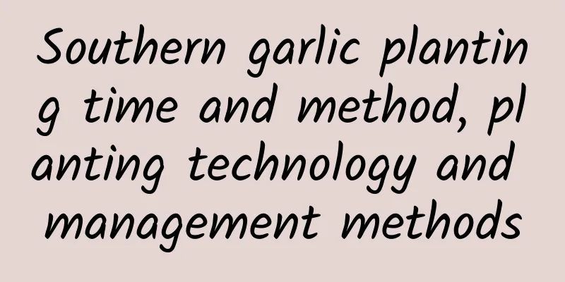 Southern garlic planting time and method, planting technology and management methods