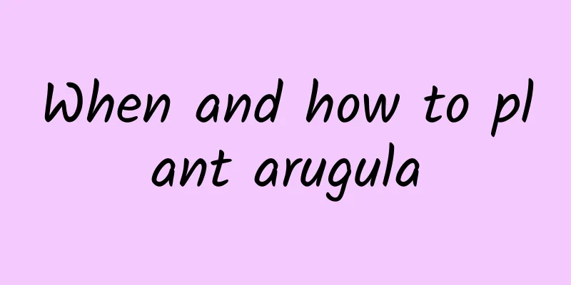 When and how to plant arugula