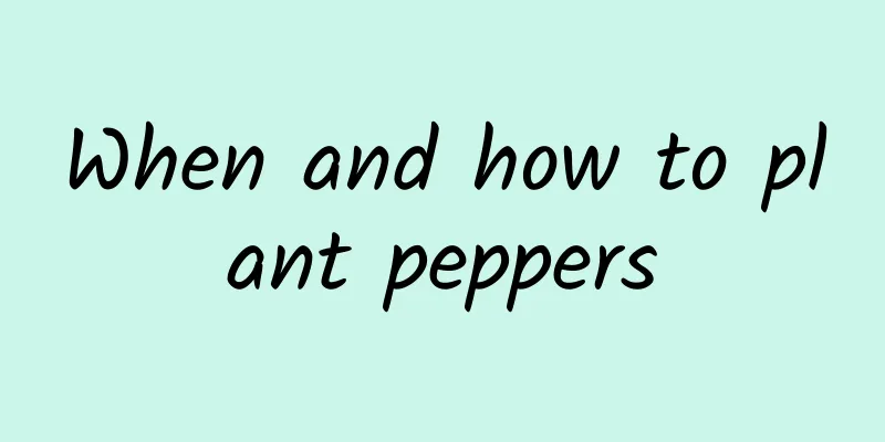 When and how to plant peppers