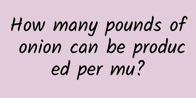 How many pounds of onion can be produced per mu?