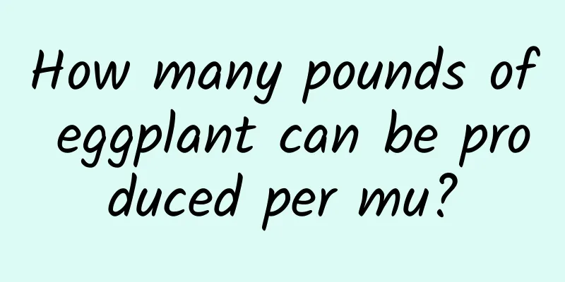 How many pounds of eggplant can be produced per mu?