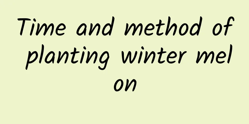 Time and method of planting winter melon