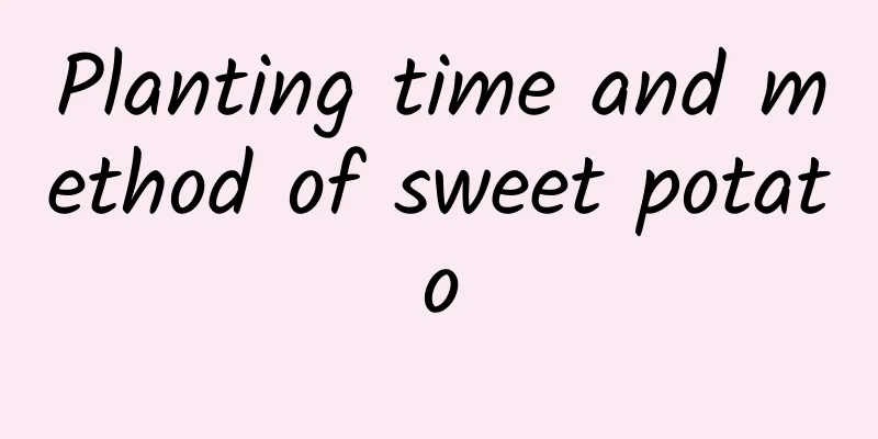 Planting time and method of sweet potato