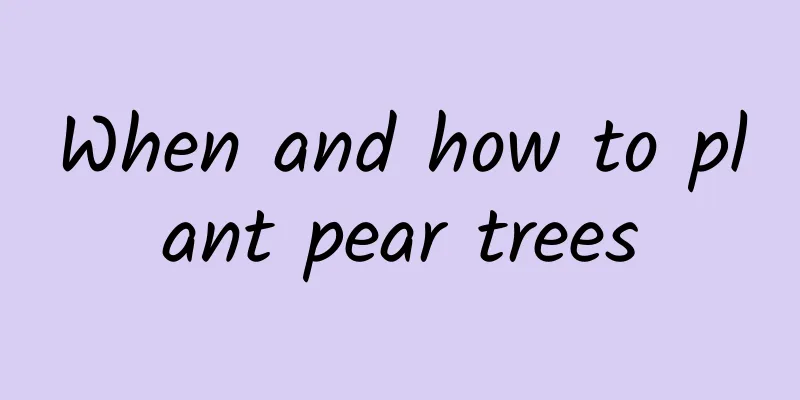 When and how to plant pear trees