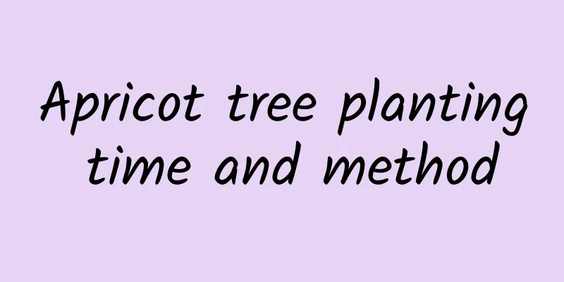 Apricot tree planting time and method