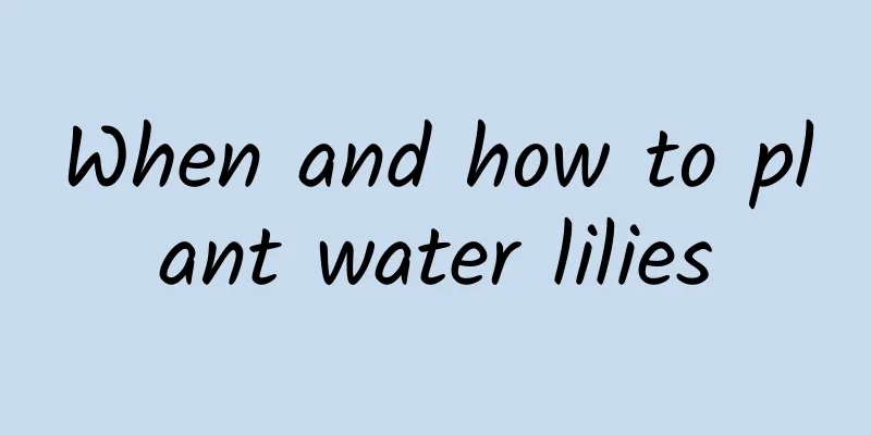When and how to plant water lilies