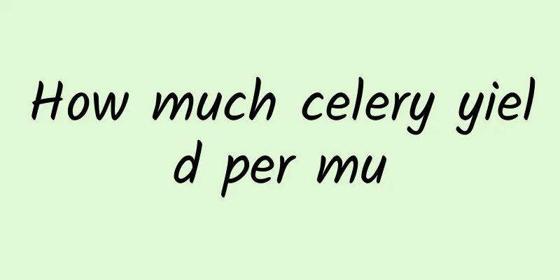 How much celery yield per mu