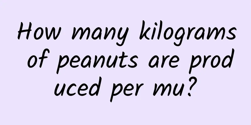 How many kilograms of peanuts are produced per mu?
