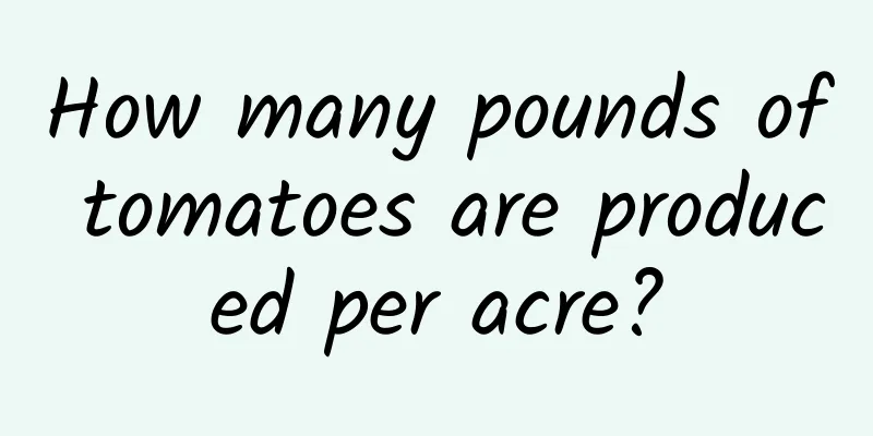 How many pounds of tomatoes are produced per acre?