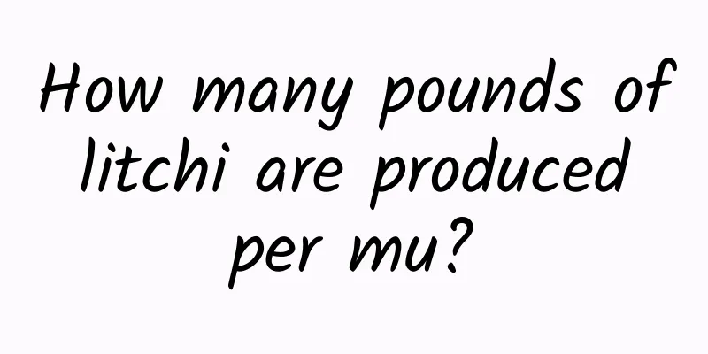 How many pounds of litchi are produced per mu?