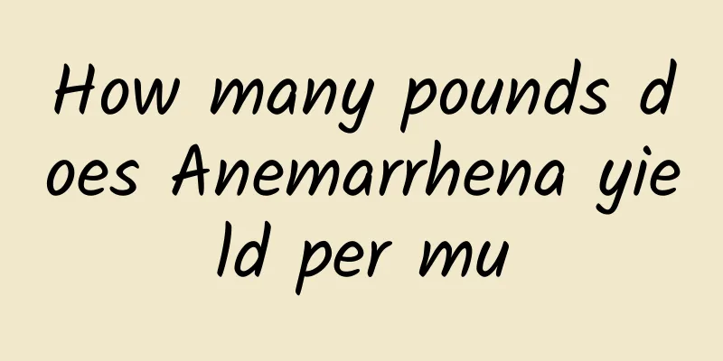 How many pounds does Anemarrhena yield per mu