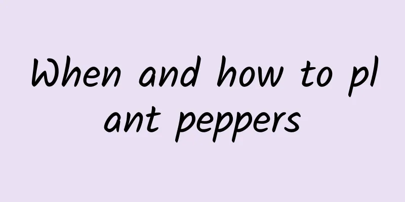 When and how to plant peppers