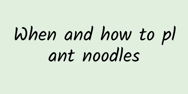 When and how to plant noodles
